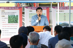 경주시, 사료용 옥수수 재배 확대로 연간 60억원 경영비 절감 나선다
