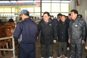 경주시, 한우농가에 사료이자·도축비 7억 원 지원…“경영 위기 극복 발판 마련”