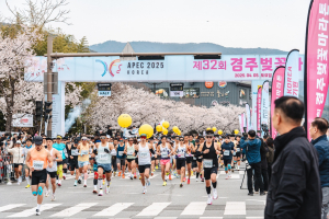 경주벚꽃마라톤, APEC 2025 성공 기원하며 1만5천여 명 참여 속 성황리 개최