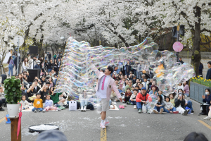 2025 경주 대릉원돌담길 축제’ 사흘간 14만 명 몰려 성황