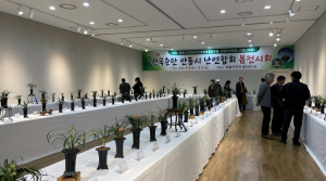 `제27회 안동시난연합회 한국춘란 전시회` 개최