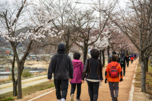 영주시, 3월부터 ‘걷기 챌린지’ 운영